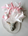 antlers