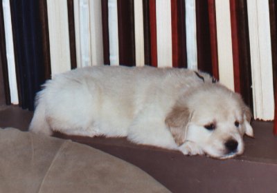 Darby 5 weeks