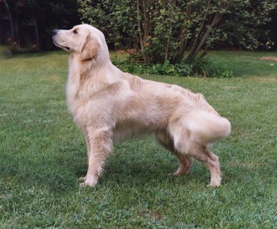 Dalton 13 mo.