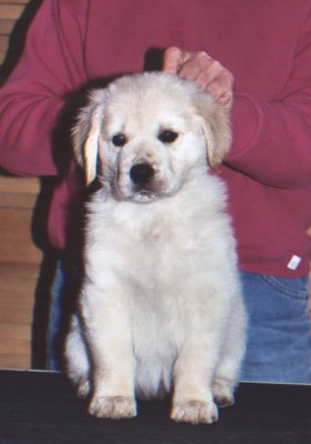 Darby