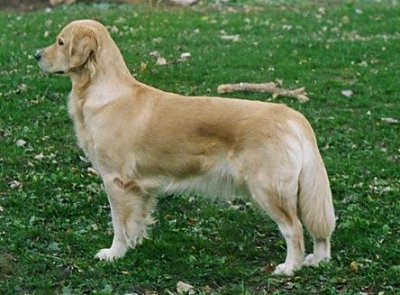 Mandy 3 years