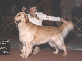 Ch. Hunts Tangleburr