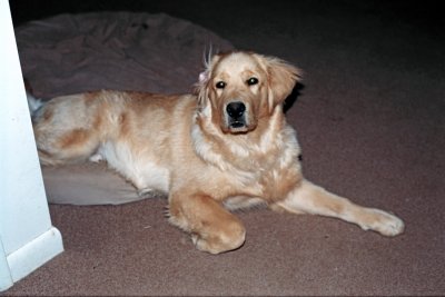 Tumble 6 mo