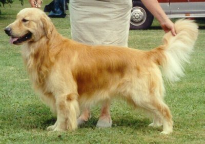 Winston 1