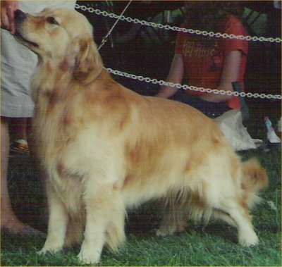 Winston 2