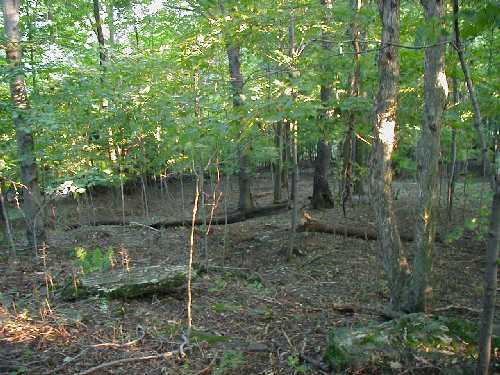foundation site