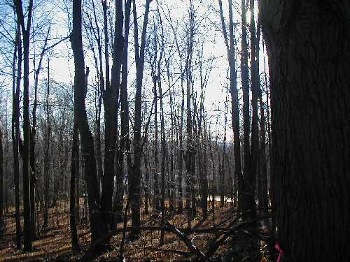 rightsideview