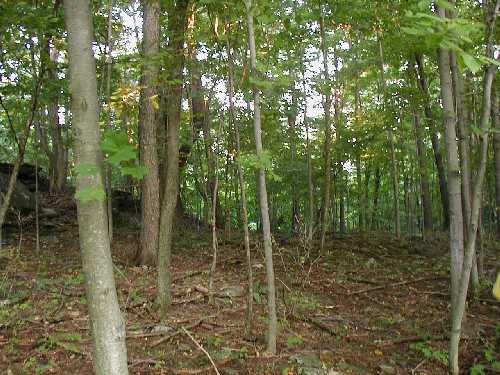 leftsideview