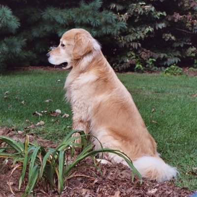 Blazer 5 years