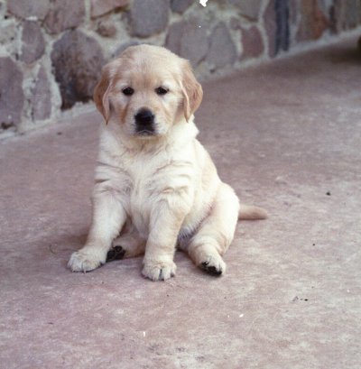 Heather 5 weeks