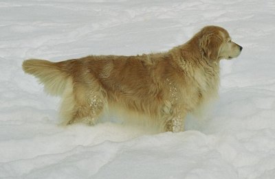 Corrie 8 years