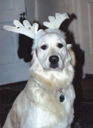 Daisy 