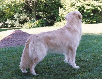 Dalton 12 months