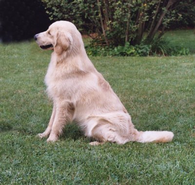 Dalton 13 months