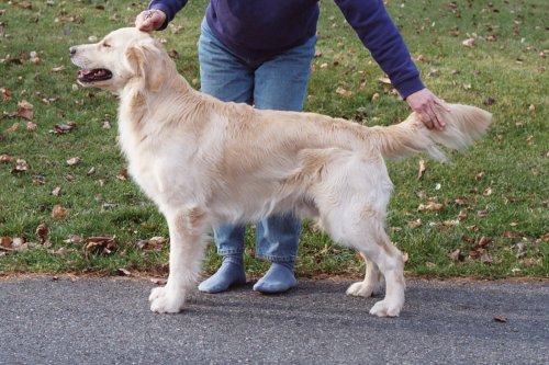 Dalton 18 months