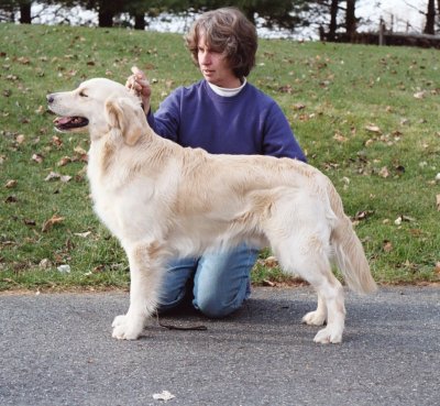 Dalton 18 months