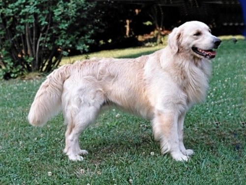 Dalton 2 years