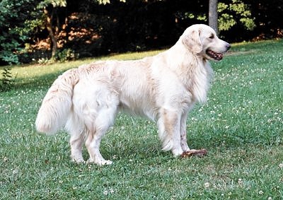 Dalton 2 yrs