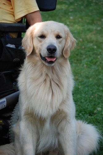 dalton 2yrs