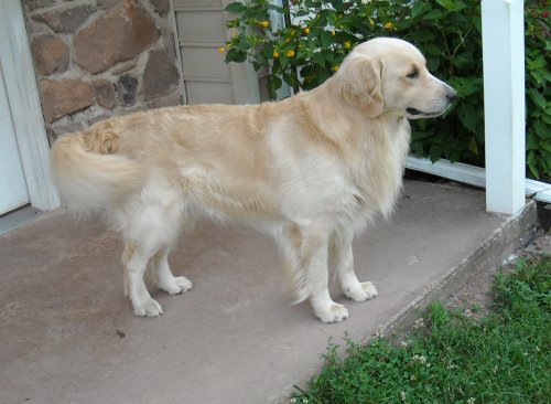 Dalton 3 yrs