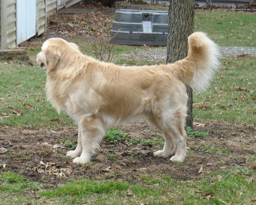 Dalton 3 1/2 years