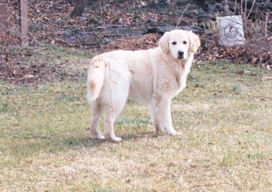 Dalton 9 months