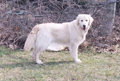 Dalton 9 months