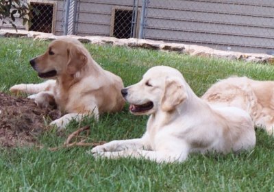Darby & Mandy