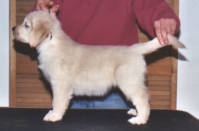 Darby