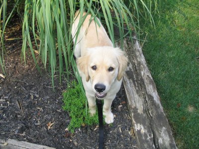 Fernie 5 months