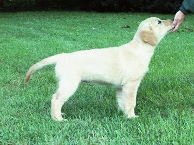 Heather 12 weeks