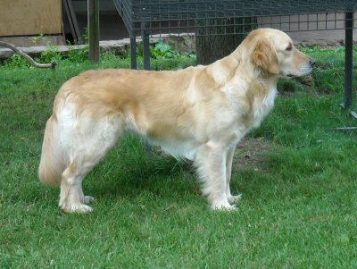 Heather 3 yrs