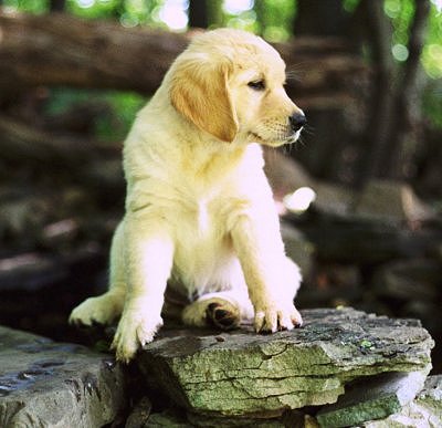 Heather 8 weeks