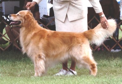 Jackson 9 1/2 years