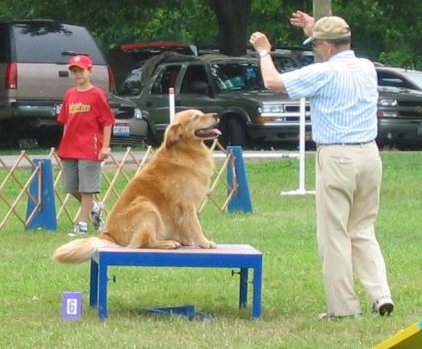 Jackson sit