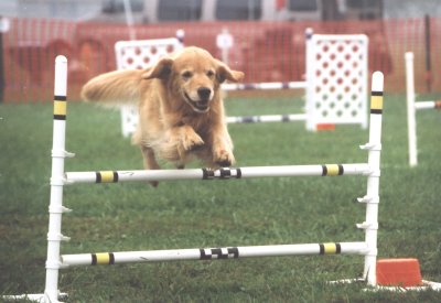 agility