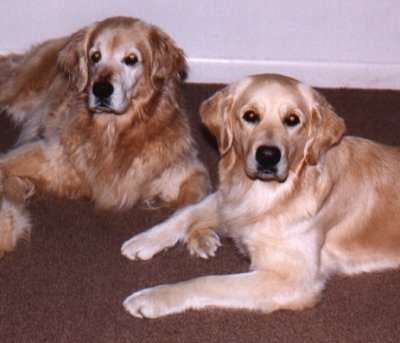 Joy and Mandy