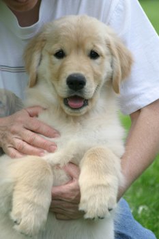 Keira 11 weeks