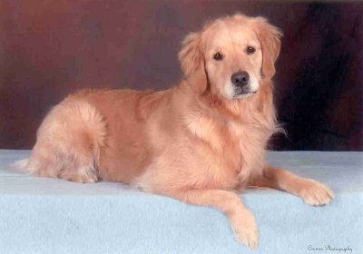 Lilah 4 years