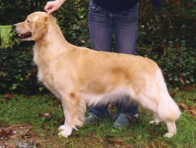 Mandy 2006