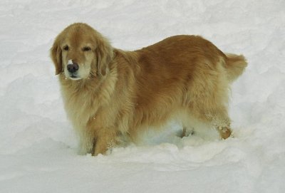 Meg 10 years