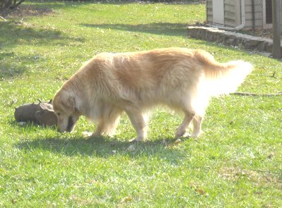 Meg at 14