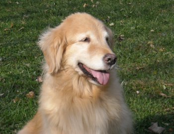 Meg at 14