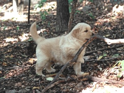 Tumble 5 1/2 weeks