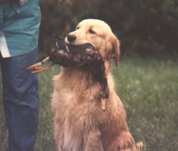 Terra with duck