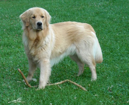 Tumble 10 months