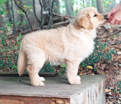 Tumble 8 weeks