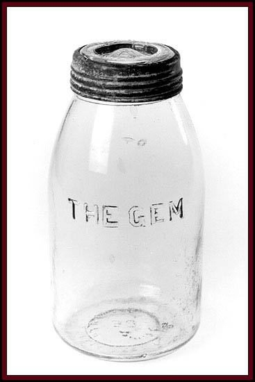 Bug Jar