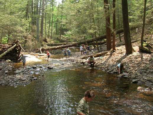 Intermediates at Ricketts Glen