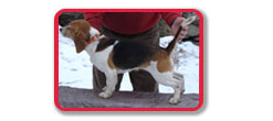 Slicker's Earned Run Ellie